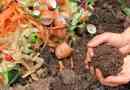 Wie Kompost Pflanzen beim Wachsen hilft