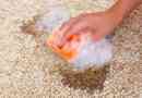 Wie man Ribena aus dem Teppich holt