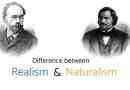 Was ist der Unterschied zwischen Realismus und Naturalismus in der Literatur?