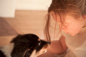 5 Hausmittel, um Mundgeruch bei Hunden loszuwerden