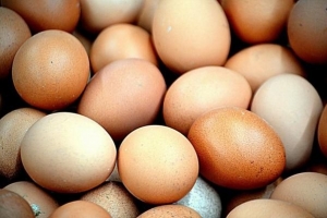 5 der originellsten Bastelideen für Eierschalen