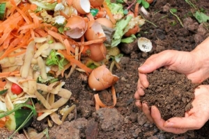Wie Kompost Pflanzen beim Wachsen hilft