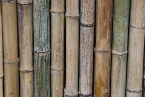 So dekorieren Sie mit Bambus