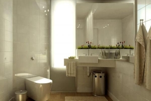 So dekorieren Sie Ihr Badezimmer im Feng Shui-Stil