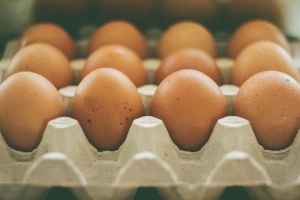 So erkennen Sie, ob Eier aus Freilandhaltung stammen