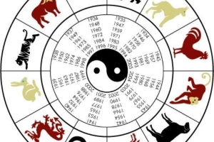 Wie erkenne ich mein chinesisches Sternzeichen nach Geburtsdatum?