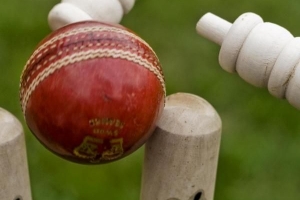 Wie man einen Cricketball herstellt