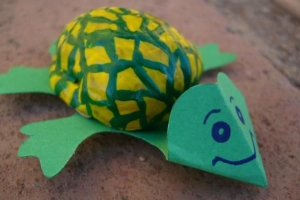 Wie man aus Walnüssen eine Schildkröte macht