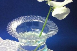 Wie man eine Vase aus einer Plastikflasche herstellt