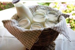Sojajoghurt zu Hause herstellen