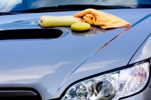 So entfernen Sie Kiefernsaft aus Ihrem Auto