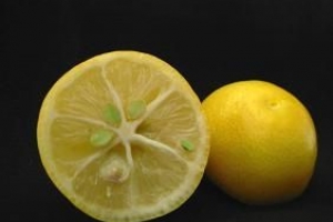 So verwenden Sie Zitrone zum Reinigen