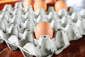 Die besten Eierkarton-Bastelarbeiten – Ideen zur Wiederverwendung von Eierkartons