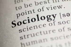 Was sind die Hauptzweige der Soziologie??