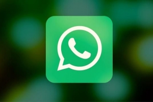 WhatsApp-Profilbild wird nicht angezeigt