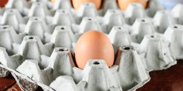 Die besten Eierkarton-Bastelarbeiten – Ideen zur Wiederverwendung von Eierkartons